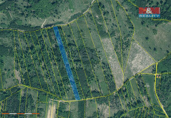 Prodej lesa, 15662 m², Jetětice