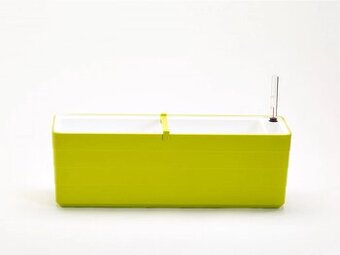 Prodám truhlíky české samozavlažovací Berberis 60cm (4ks)
