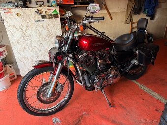 HARLEY XL1200C SPORTSTER