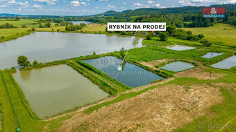 Prodej rybníku, 3000 m², Ostružno u Jičína