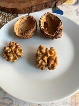 Vlašské ořechy 2025 - papíráky