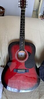 Akustická kytara VGS Pure series D-1