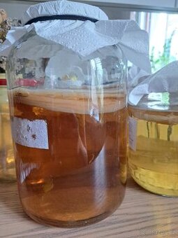 Kombucha