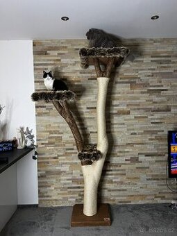 Vysoký kočičí strom