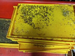 Plastové termo rámky pro včely 39 x24 - 1
