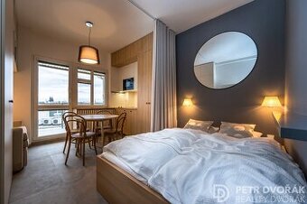 Prodej bytu 1+kk, Opletalova, Praha 1 - Nové Město