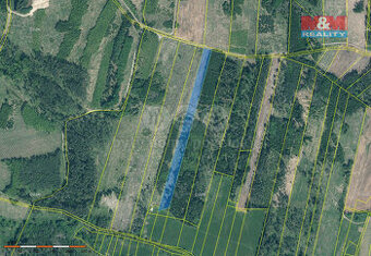 Prodej lesa, 13685 m², Jetětice