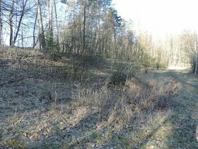 Soubor pozemků v k.ú. Měrunice a v k.ú. Mukov, okr. Teplice