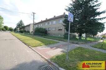 Podivín, byt 2+1, 70 m2, garáž, sklep, zahrada - byt