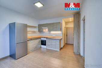 Pronájem bytu 1+1, 39 m², Plzeň, ul. Skupova