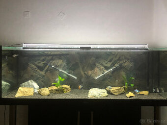 Chihiros LED světlo nad akvárium 120 cm