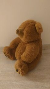 Medvídek ze sbírky