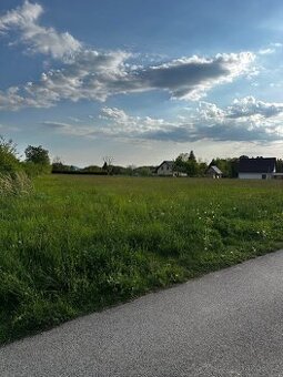 Pronájem pozemku 10300 m² Jizbice