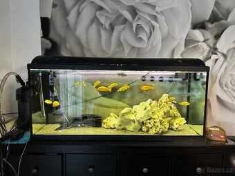 Vybavené akvárium 250l