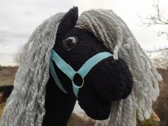 Hobby horse
