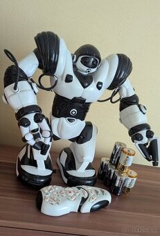 ROBOSAPIENS