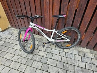 Kolo Author Limit 24"