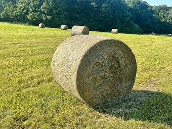 Seno ekelogické 135cm nezmoklé super kvalita.