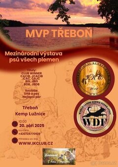 Mezinárodní výstava psů všech plemen včetně NON FCI