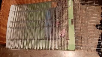 Výběh pro morčata