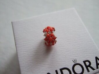 Pandora korálek - 1