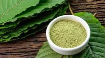 KRA🌱OM