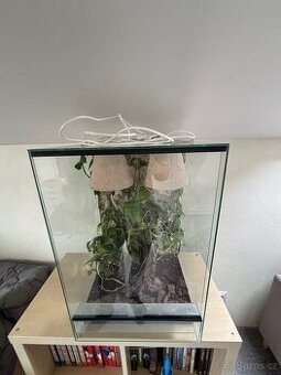 Terarium