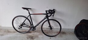 Merida scultura 500