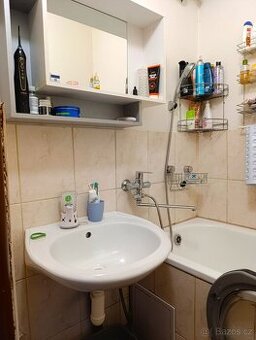 Pronájem bytu 1+1 36 m² Františka Hajdy, Ostrava - Hrabůvka