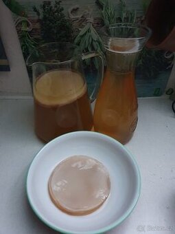 Kombucha - 1