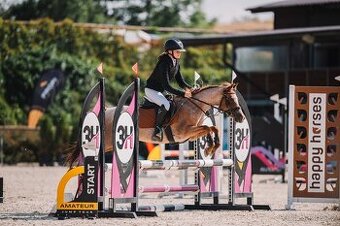 Welsh pony klisna