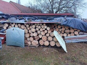 Prodám palivové drevo