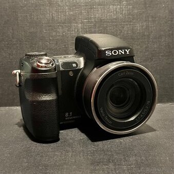 Sony Cyber-shot DSC-H9 – digitální fotoaparát (Night Shot)