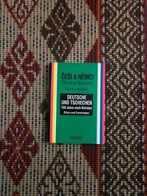 Češi a Němci 150 let po Bolzanovi (rozfocneo 17x)
