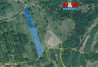 Prodej lesa, 36550 m², Jetětice