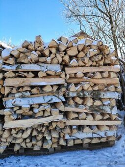 Palivové dřevo bříza