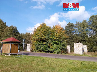 Prodej pozemku k bydlení, 6500 m², Adršpach