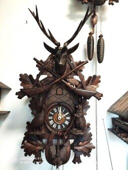 Hezke,  kukacky, Schwarzwald, VELKE