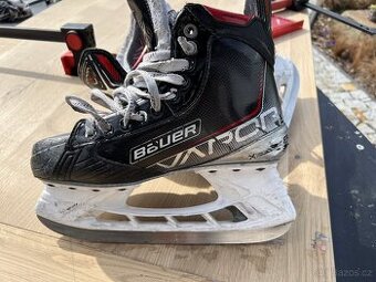 Brusle Bauer Vapor X3 / vel 6, FIT2