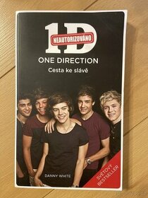 1D cesta ke slávě