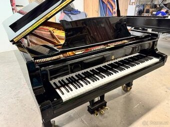 Steinway & Sons Modell D- 274 cm Only now super price