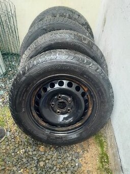 plecháče Octavia 2