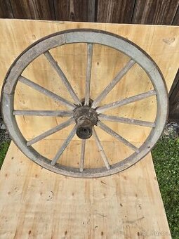 Kolo ze žebřiňáku