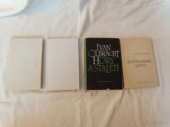 Česká próza 20. století – Hrabal, Olbracht, Vančura, ...