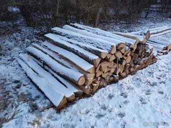 dubové kůly 200 cm