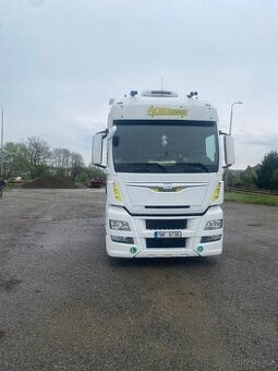 Man TGX 18.480 Euro 6