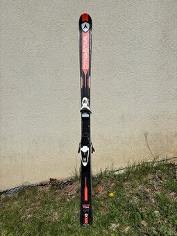Dynastar Speed team GS