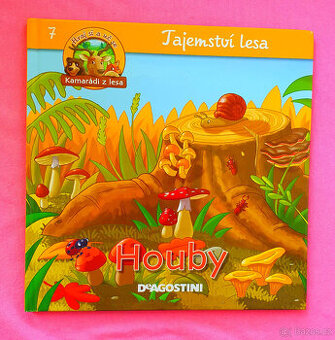 Tajemství lesa. Houby. - 1