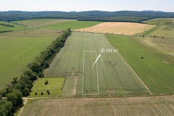 Prodej pole - orné půdy, 27 623 m², Bulhary, okr. Břeclav