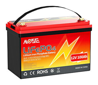 LiFePo4 baterie 12V 100Ah s BMS